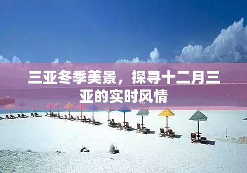 三亚冬季风情探秘，十二月实时美景展现