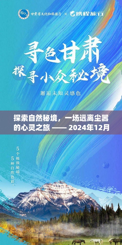 探索自然秘境，心灵之旅启程于2024年12月13日实时出发