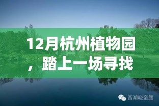 杭州植物园踏冬之旅，寻找内心的绿色宁静