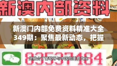 新澳门内部免费资料精准大全349期：聚焦最新动态，把握投资先机