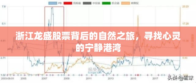 浙江龙盛股票背后的自然之旅，探寻心灵宁静港湾的旅程