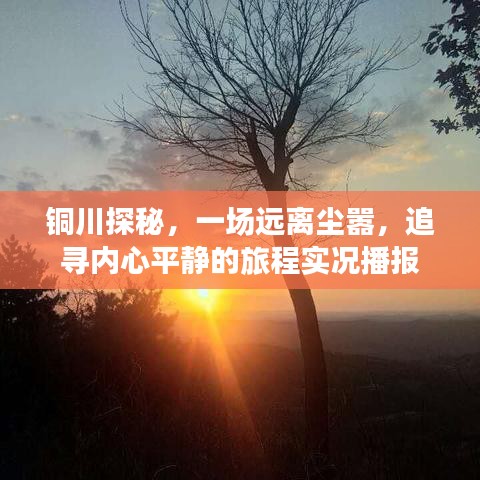 举世无双 第2页