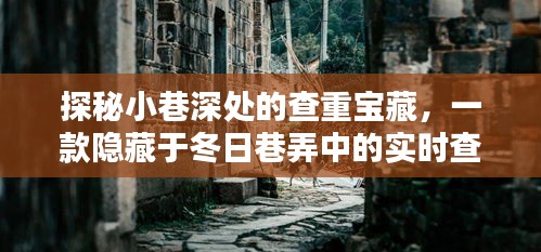 小巷深处的查重宝藏，实时查重软件下载指南