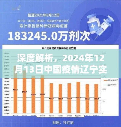 独家深度解析，2024年12月13日中国辽宁疫情实时数据图解析