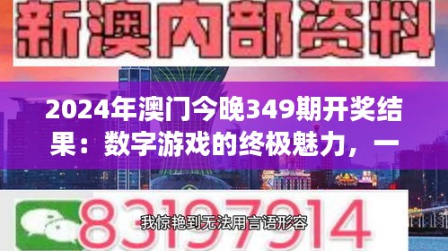 2024年澳门今晚349期开奖结果：数字游戏的终极魅力，一夜变化莫测