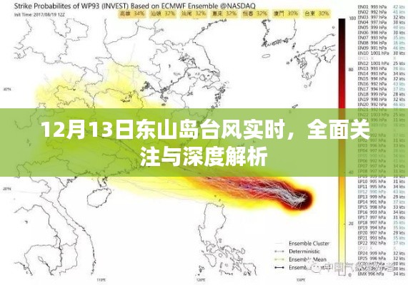 东山岛台风最新动态，全面关注与深度解析（12月13日实时更新）