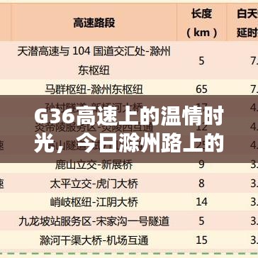 G36高速上的温情时光与滁州路上的奇遇伴侣