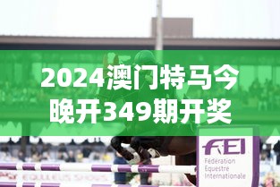 2024澳门特马今晚开349期开奖揭晓：马术世界的年度盛宴