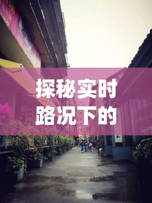 山东至深圳高速之旅，实时路况探秘与小巷美食奇遇