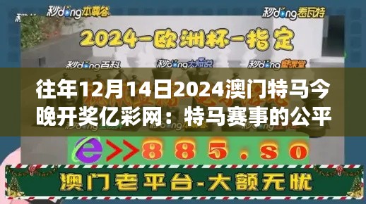往年12月14日2024澳门特马今晚开奖亿彩网：特马赛事的公平与公正