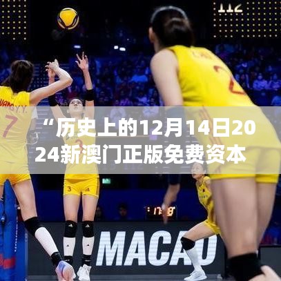 “历史上的12月14日2024新澳门正版免费资本车：展望绿色出行新纪元”