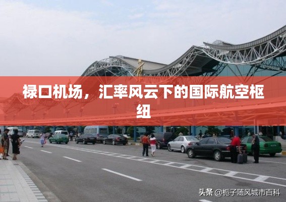 汇率风云下的国际航空枢纽，禄口机场的角色与挑战
