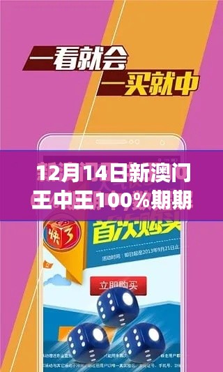 12月14日新澳门王中王100%期期中，感受澳门桌游的心跳时刻