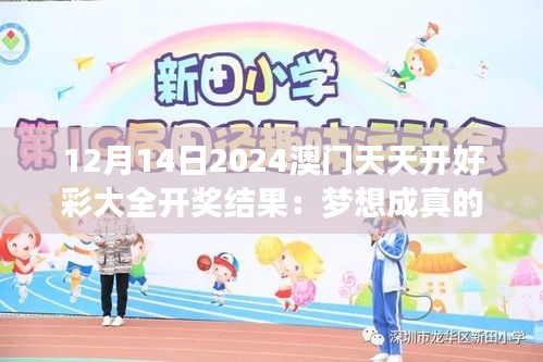 12月14日2024澳门天天开好彩大全开奖结果：梦想成真的时刻