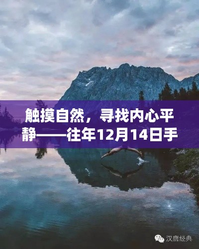 触摸自然，启程心灵摄影之旅——手机实时摄影教学视频分享