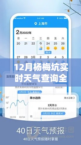 12月杨梅坑实时天气查询攻略，教你如何获取精准天气信息