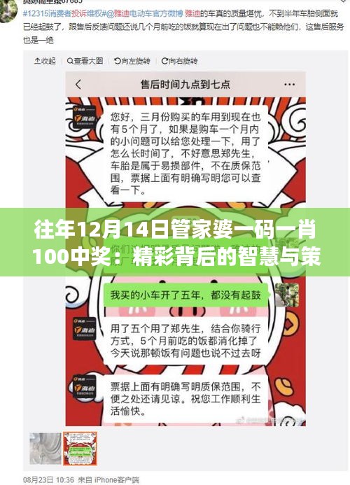 往年12月14日管家婆一码一肖100中奖：精彩背后的智慧与策略