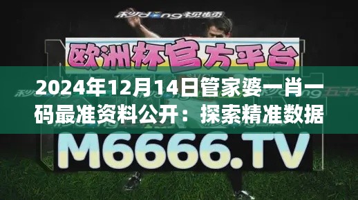 2024年12月14日管家婆一肖一码最准资料公开：探索精准数据的力量