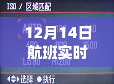 全面评测与深度解析，12月14日航班同行人行程实时查询解析报告