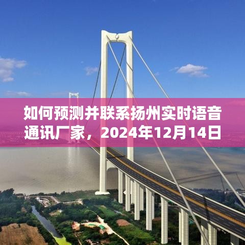 指南，如何预测并联系扬州实时语音通讯厂家——2024年12月14日攻略