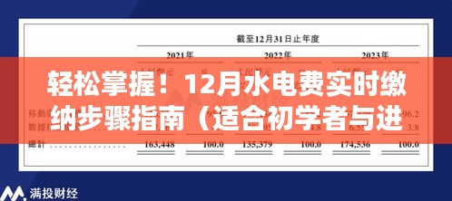 轻松掌握水电费缴纳流程，实时缴纳步骤指南（适合初学者与进阶用户）