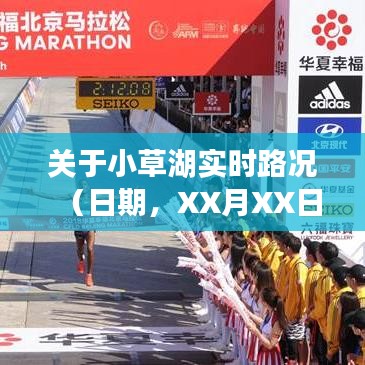 XX月XX日小草湖实时路况深度分析与交通报告解读