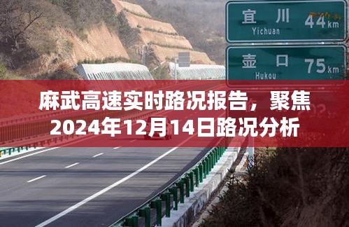 麻武高速实时路况报告，聚焦最新路况分析与评估（XXXX年XX月XX日）