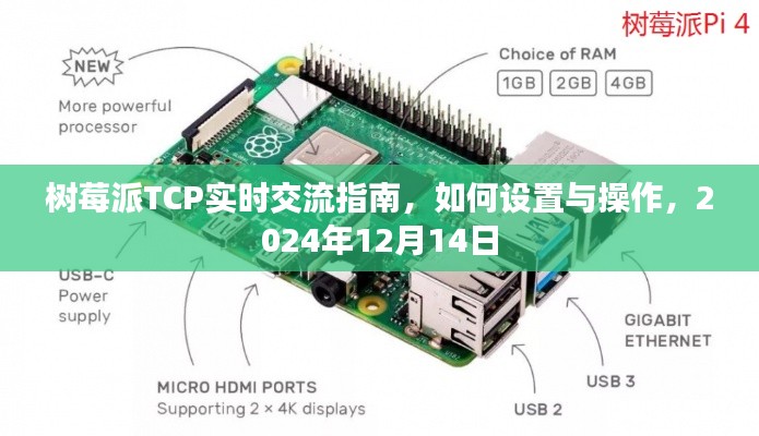 树莓派TCP实时交流设置与操作指南（2024年12月版）