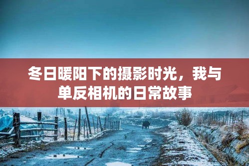冬日暖阳下的摄影之旅，我与单反相机的日常故事