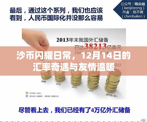 沙币闪耀日常，汇率奇遇与友情的暖心故事（12月14日）