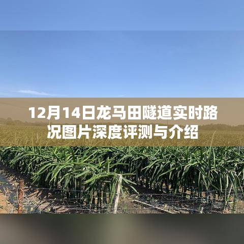 龙马田隧道实时路况图片深度评测与介绍，深度解析隧道路况实拍，12月14日最新资讯