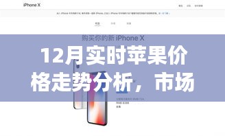 12月苹果价格走势解析，市场观点碰撞与个人立场探讨