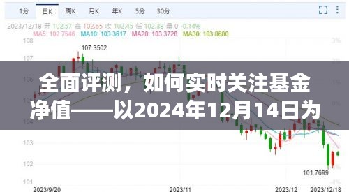 以2024年视角全面评测，如何实时关注基金净值变化之道
