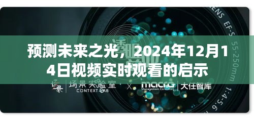 预测未来之光，视频实时观看启示录（2024年12月14日）