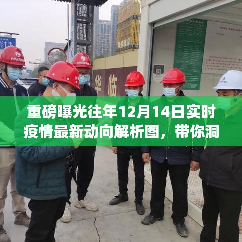 全球疫情动态解析图重磅曝光，揭秘往年疫情最新动向，洞悉全球疫情动态！