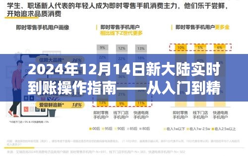 新大陆实时到账操作指南，从入门到精通（2024年12月版）