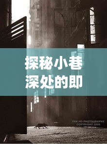 探秘小巷深处的即时光影，一场不存储的十二月即时拍照之旅体验