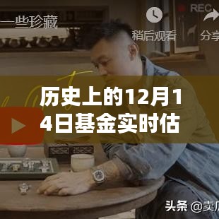 历史上的基金实时估价表，初学者与进阶用户的全方位指南