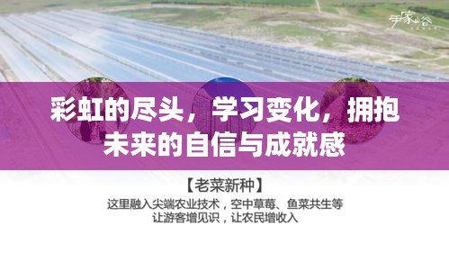 彩虹的尽头，拥抱学习变化，自信成就未来之路