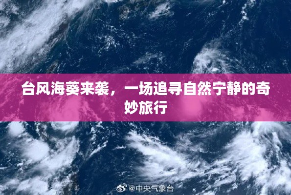 台风海葵来袭，追寻自然宁静的冒险之旅