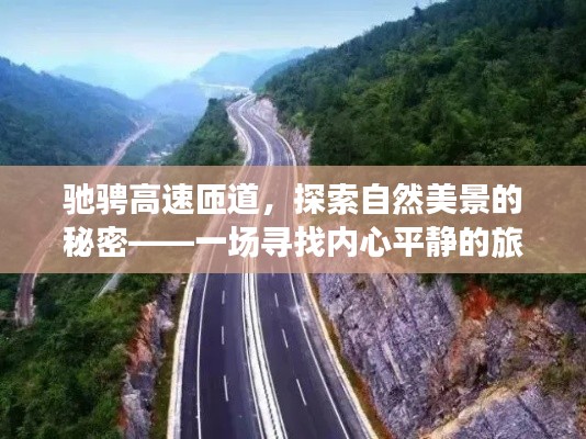 驰骋高速匝道，探寻自然美景与内心平静的旅程