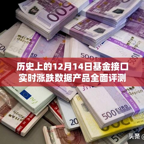 12月14日基金接口实时涨跌数据产品深度剖析与评测报告