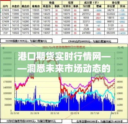 港口期货实时行情网，洞悉市场动态，把握未来趋势的窗口