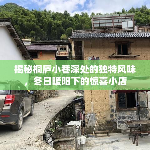 桐庐小巷深处的美味探索，冬日暖阳下的独特风味小店