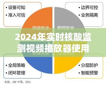 全面指南，2024年实时核酸监测视频播放器操作指南（适合初学者与进阶用户）