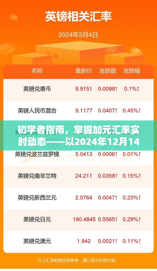 初学者指南，掌握加元汇率实时动态（以2024年12月14日为例详解）