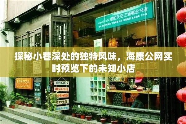 探秘小巷深处的独特风味，海康公网实时预览下的未知小店揭秘
