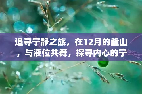 12月釜山之旅，探寻液位间的宁静港湾，内心宁静之旅