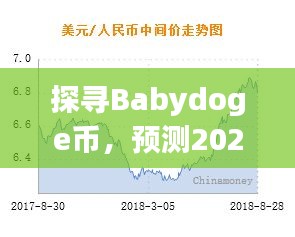 Babydoge币深度解析，2024年12月14日行情预测与未来展望