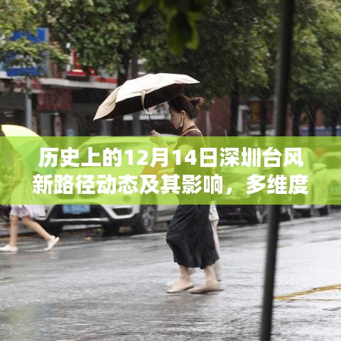 深圳台风新路径动态及多维度影响分析，历史视角的深入剖析